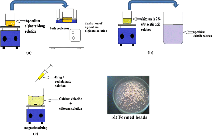 Chitosan reinforced alginate controlled release beads of losartan ...