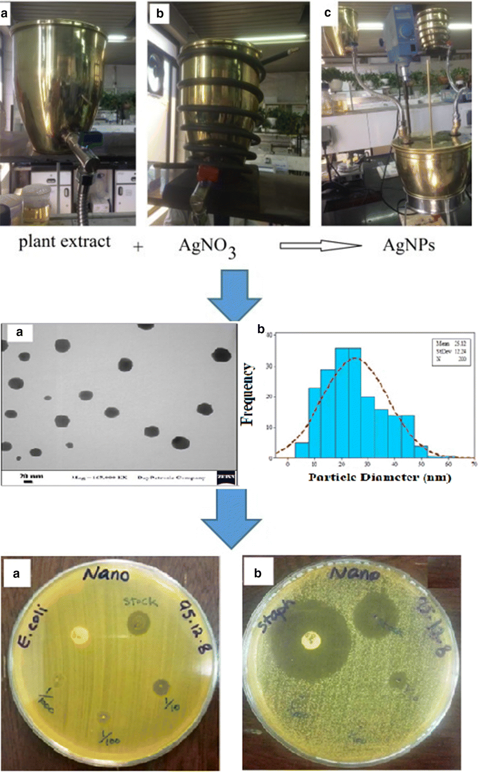 Biosynthesis nanocomposites using leaf 03 picture