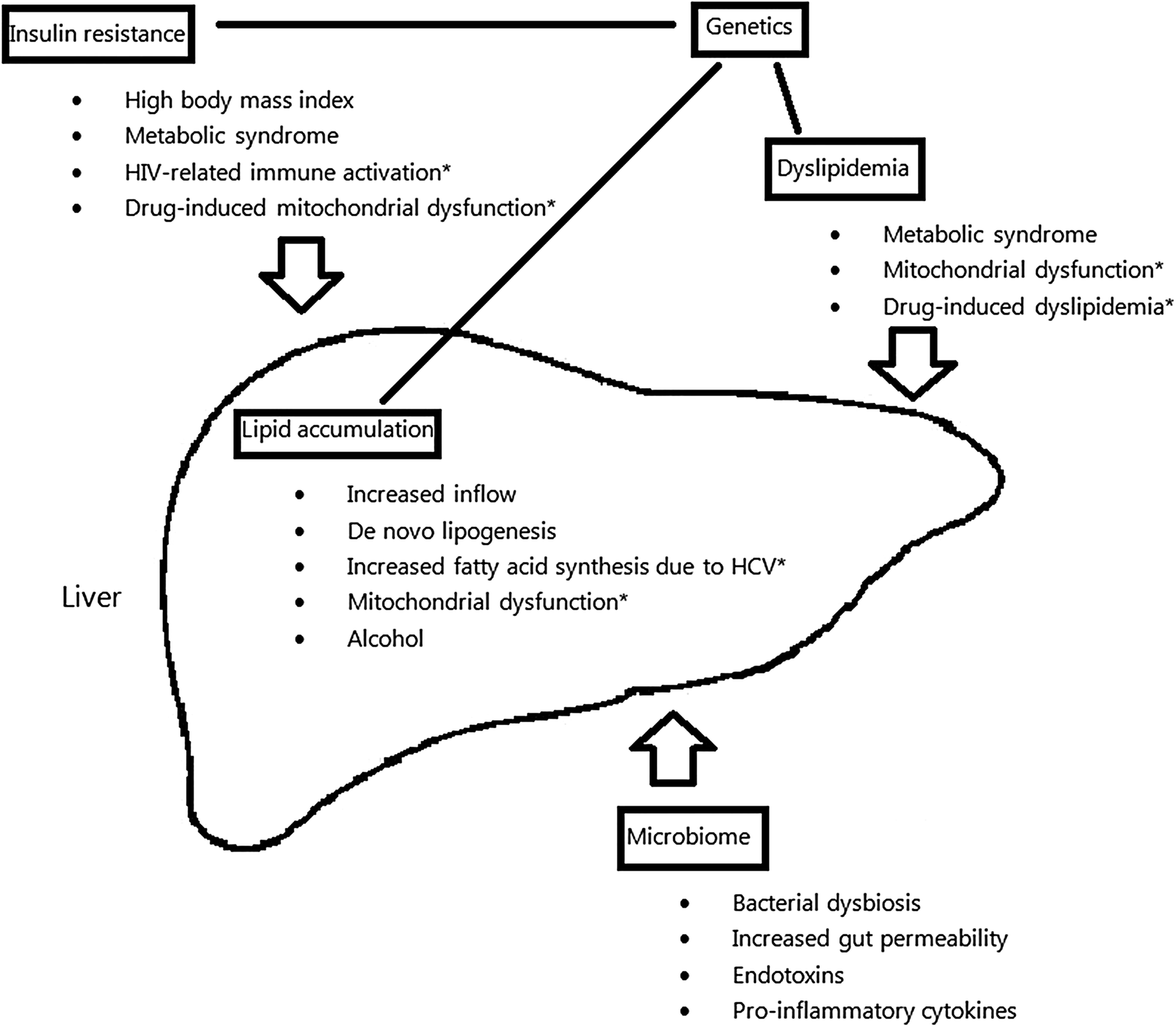 A Review Of Non Alcoholic Fatty Liver Disease In Hiv