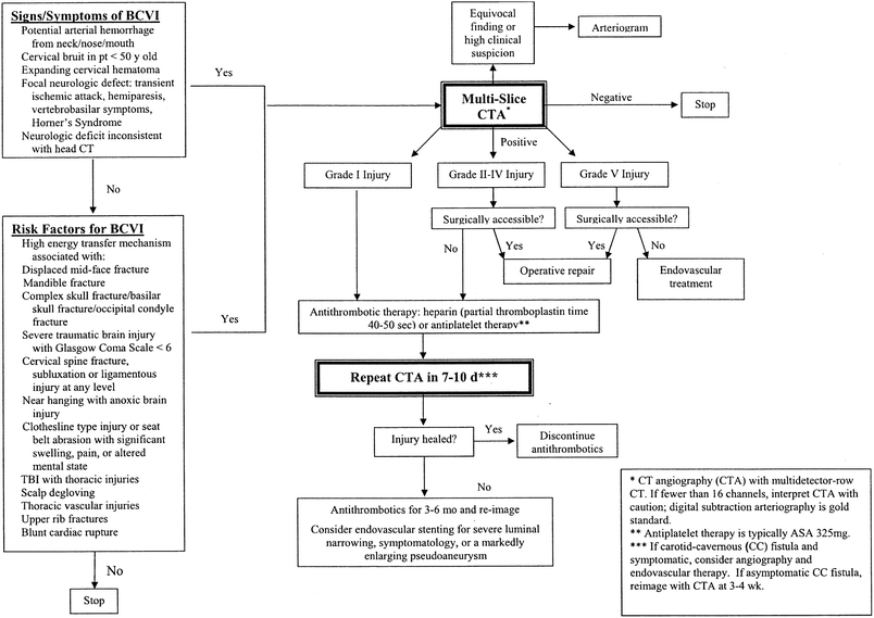 Blunt Cerebrovascular Injuries In Children When Is - 