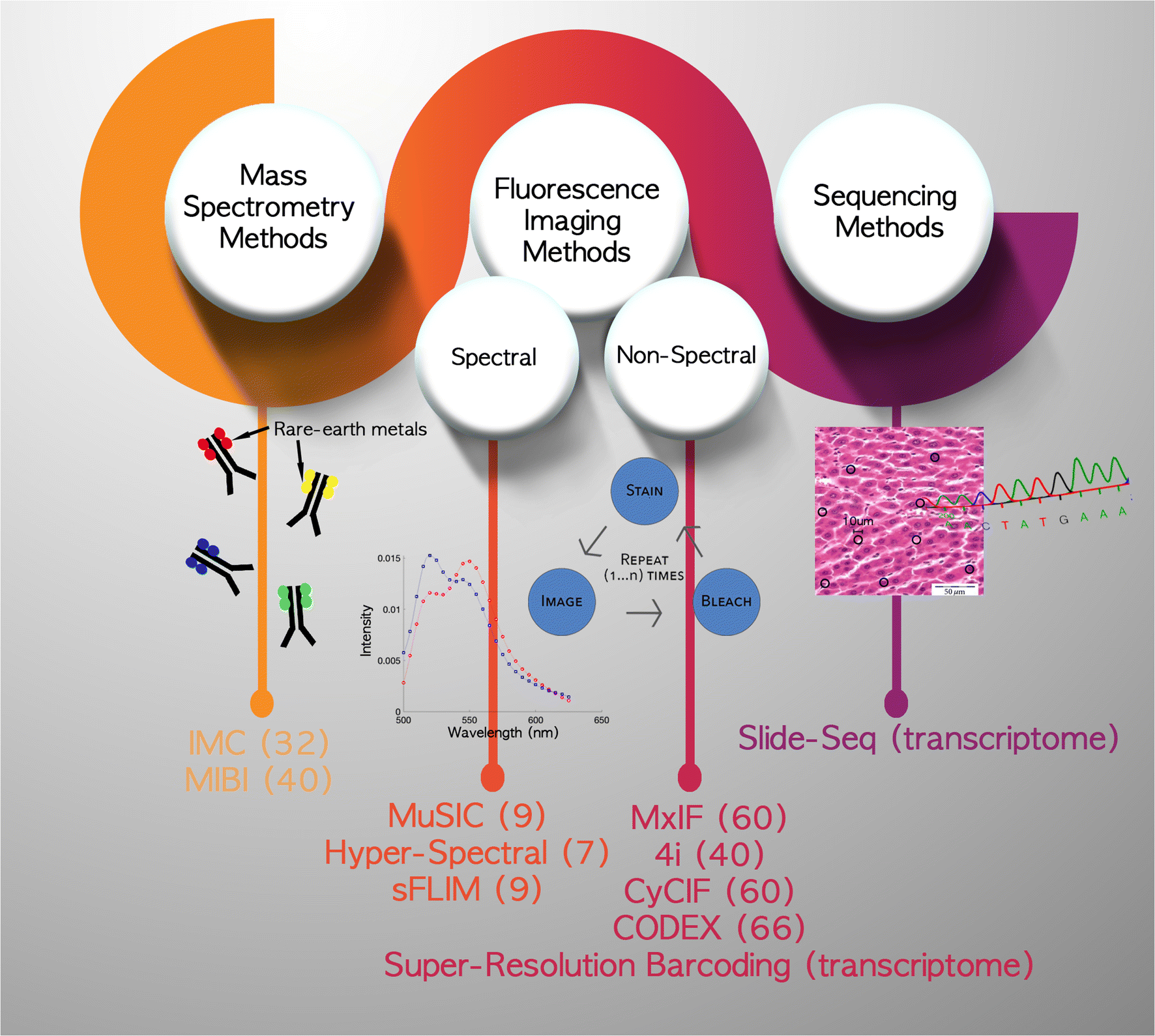 Multiplexed, Imaging ... Highly Tissue Quantitative Cellular at Imaging Quantitative at ... Highly Tissue Multiplexed, Cellular
