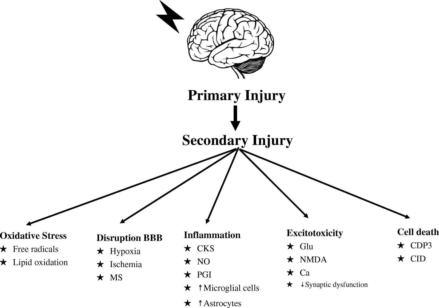 Perioperative Management of Severe Traumatic Brain Injury What Is New