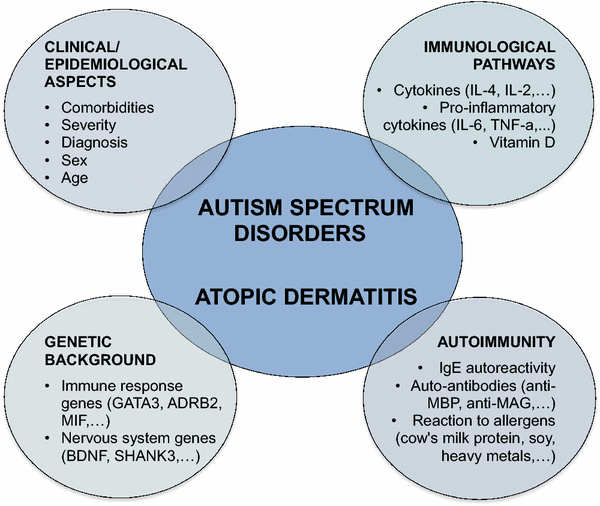 Autism Spectrum Disorder Chart