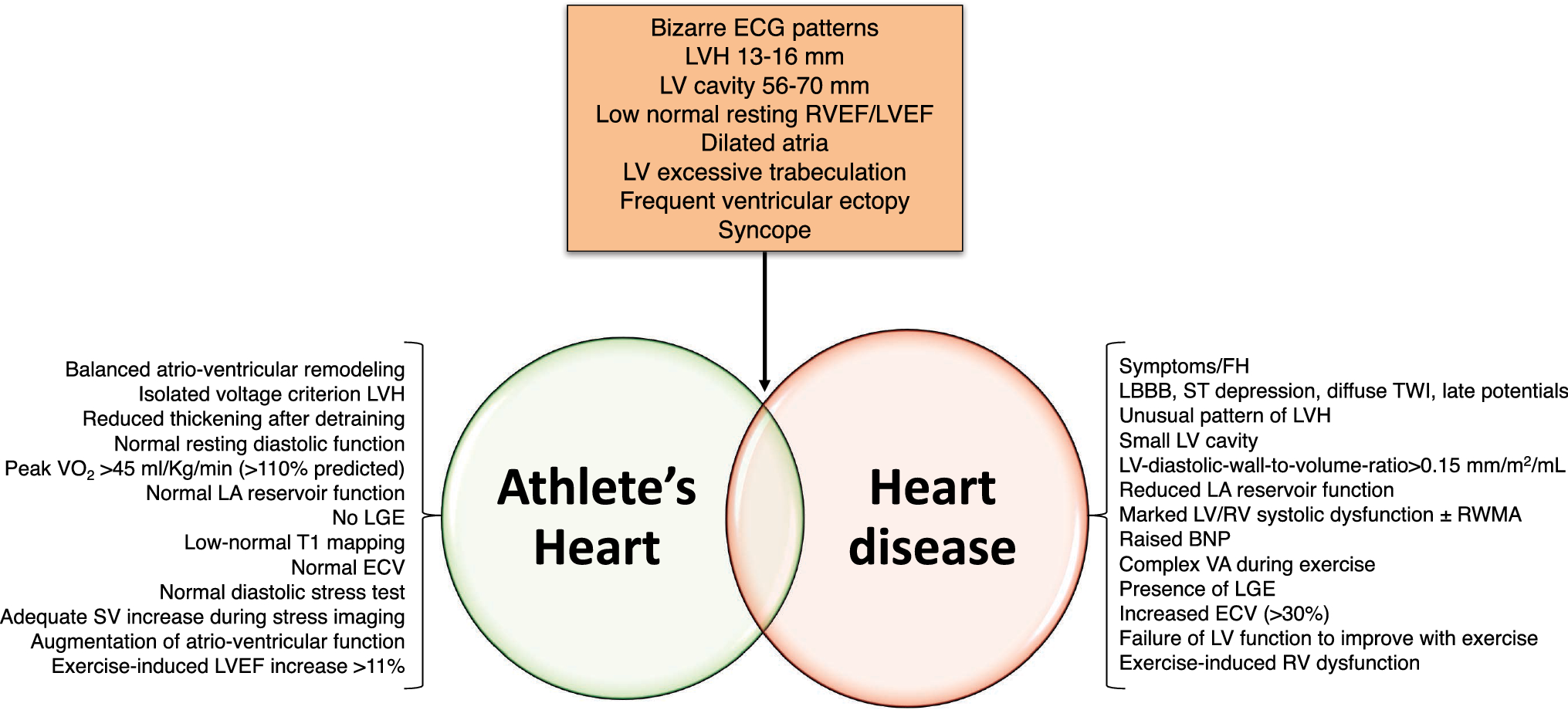 Athlete’s Heart Diagnostic Challenges and Future Perspectives
