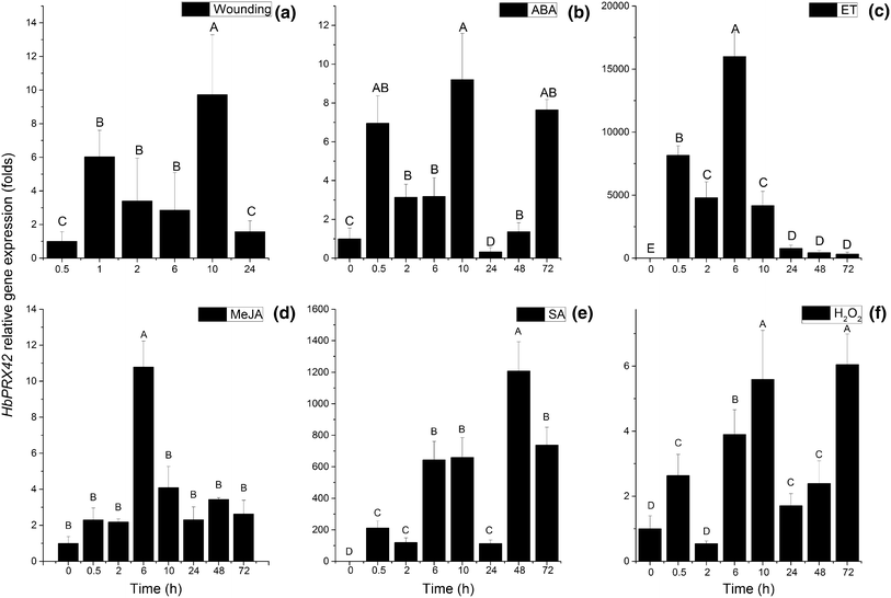 Molecular cloning and characterization of a stress responsive
