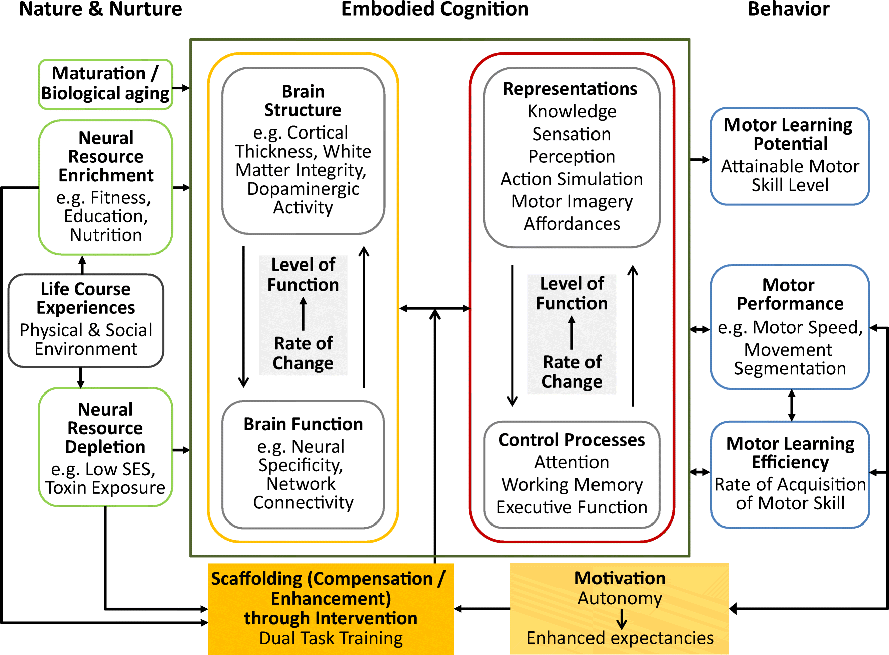Cognition And Behavior White Matter >> Dual Task Performance In Developmental Coordination Disorder Dcd Cognition And Behavior White Matter >> Dual Task Performance In Developmental Coordination Disorder Dcd