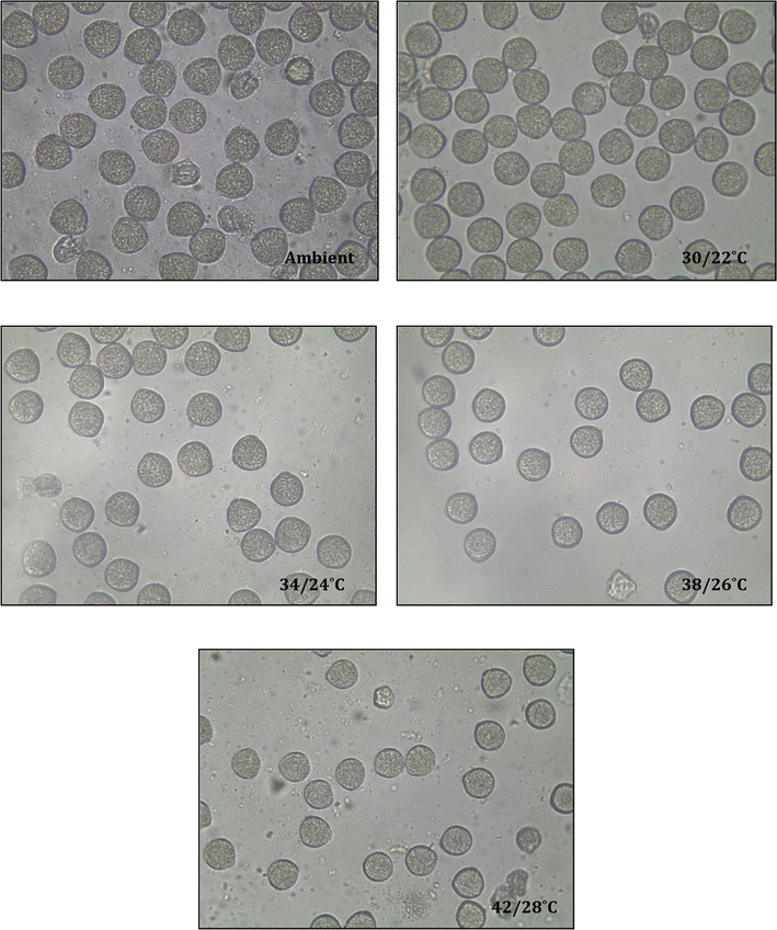 Screening Soybean Genotypes For High Temperature Tolerance By In Open Image In New Window