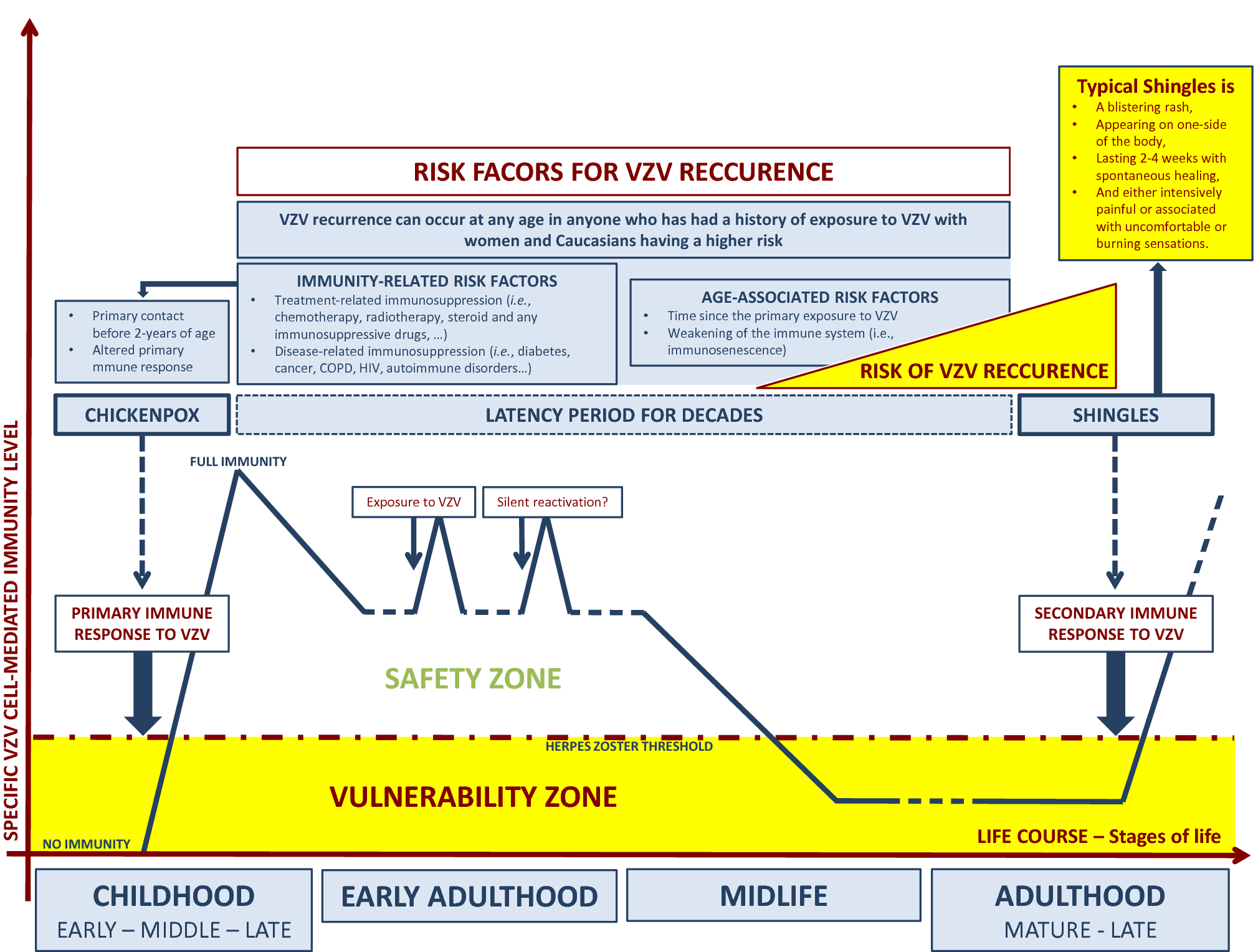 Vaccination For Quality Of Life Herpes Zoster Vaccines Springerlink