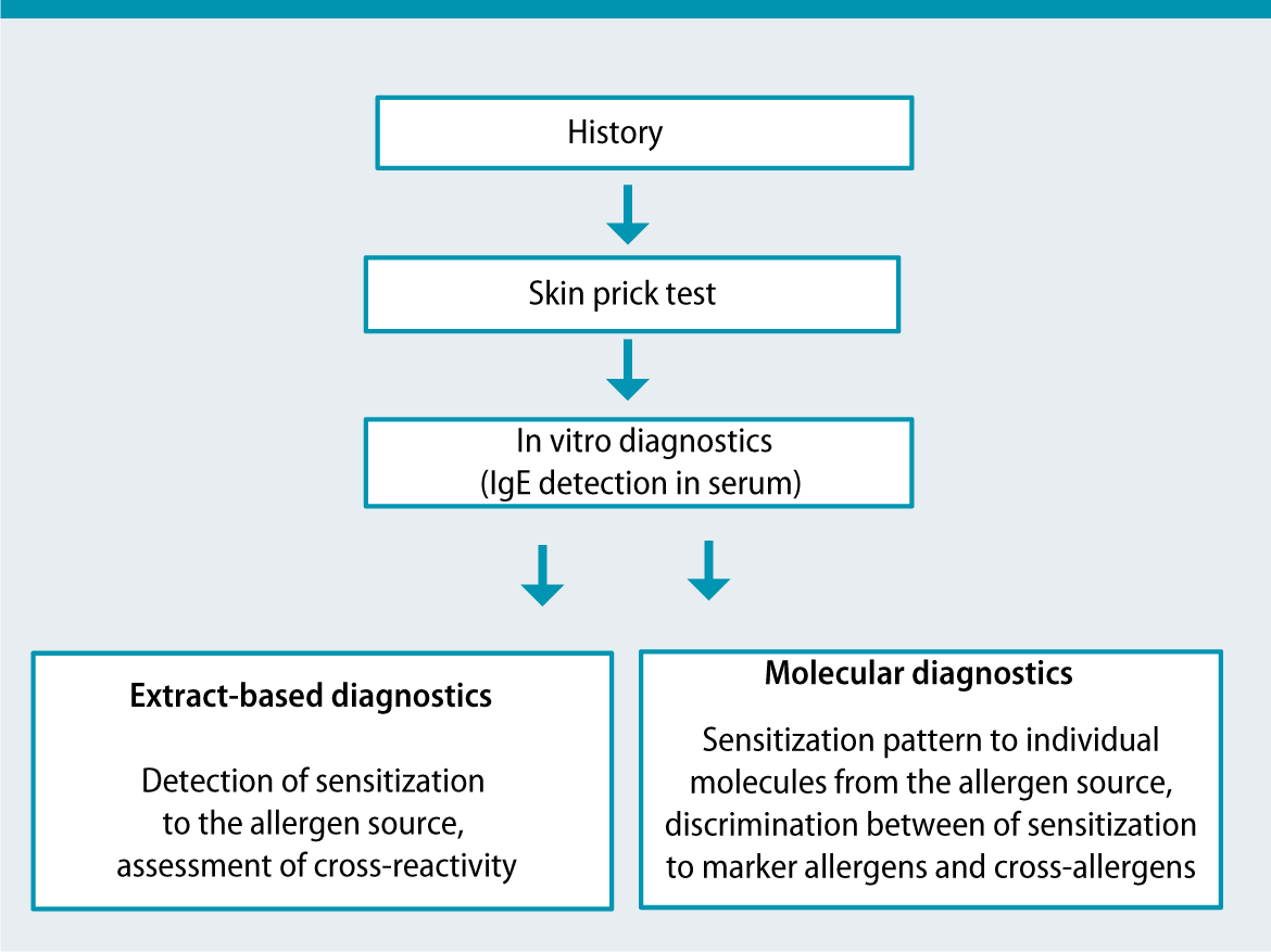 Update molecular diagnostics of allergies to vegetables and fruits SpringerLink
