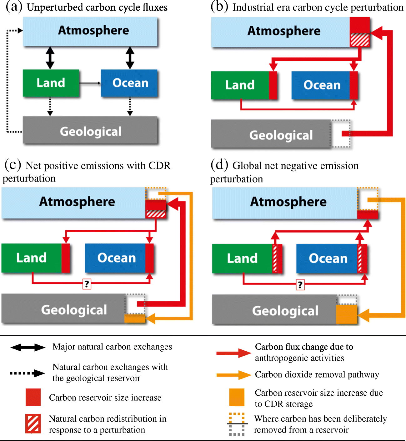 The Effects Of Carbon Dioxide Removal On The Carbon Cycle