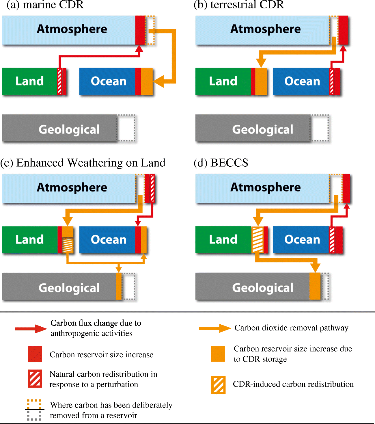 The Effects Of Carbon Dioxide Removal On The Carbon Cycle