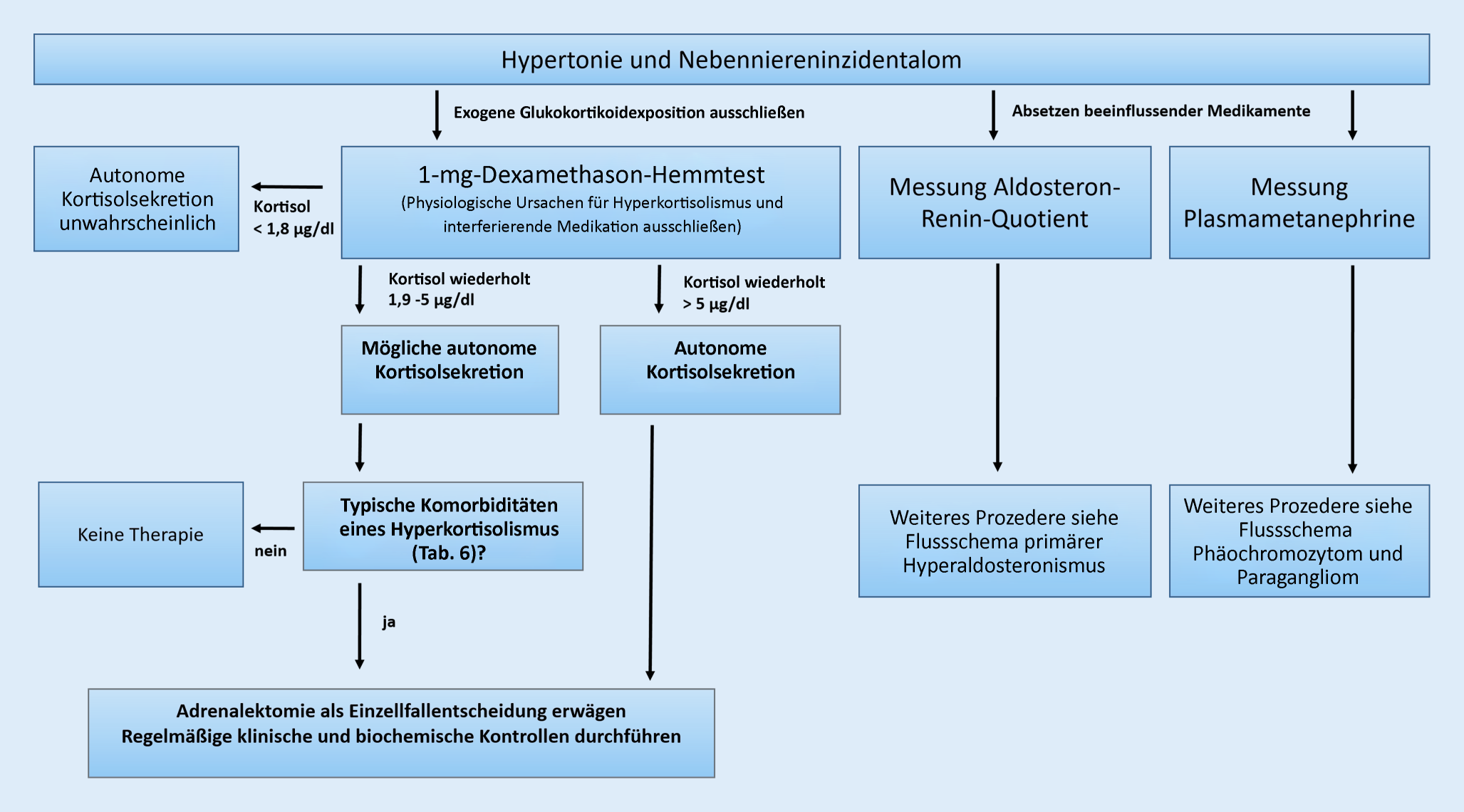 Update Endokrine Hypertonie Springerlink - 