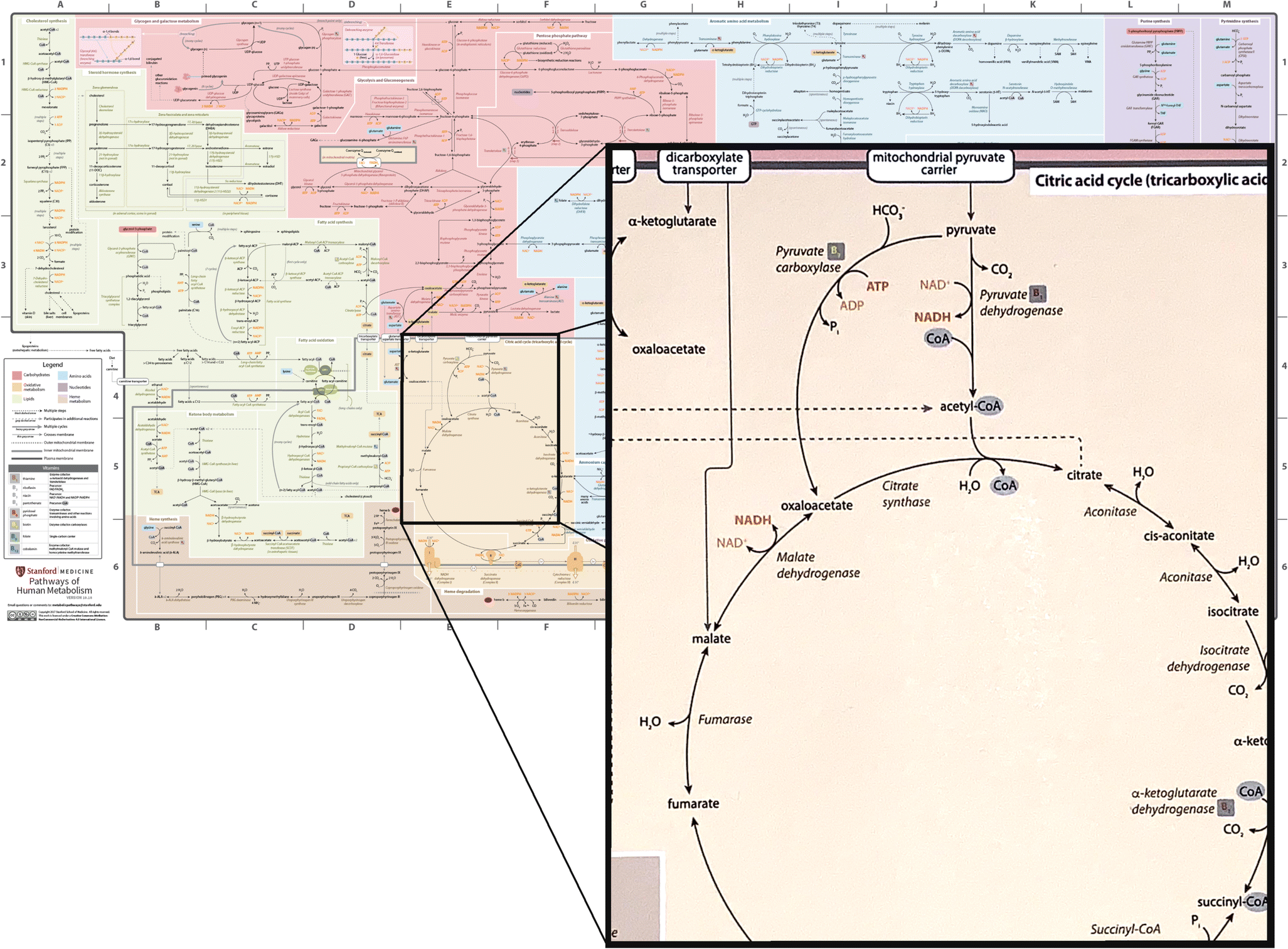 Medical Biochemistry Without Rote Memorization Multi