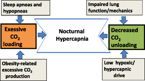 Obesity Hypoventilation Syndrome | SpringerLink