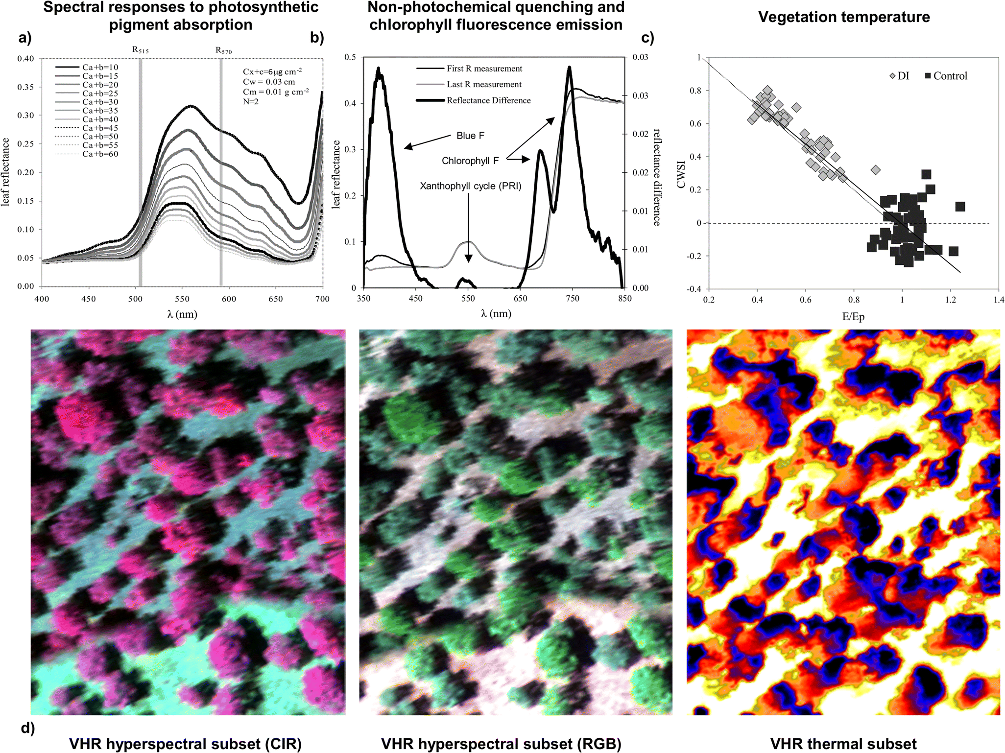 Early Diagnosis of Vegetation Health From HighResolution Hyperspectral