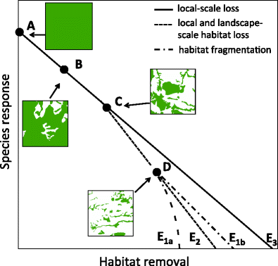 Refocusing Habitat Fragmentation Research Using Lessons from the Last ...