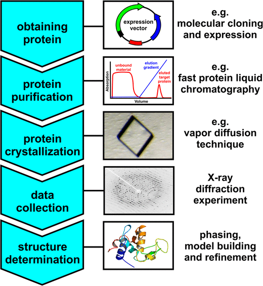 Polyoxometalates more than a phasing tool in protein crystallography
