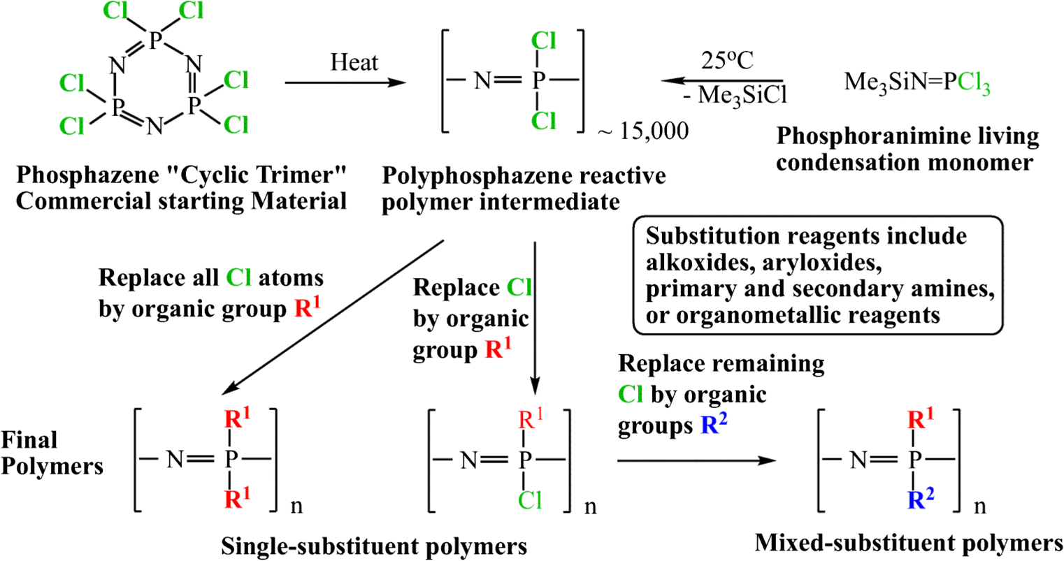 Macromolecule Monomer Polymer Chart