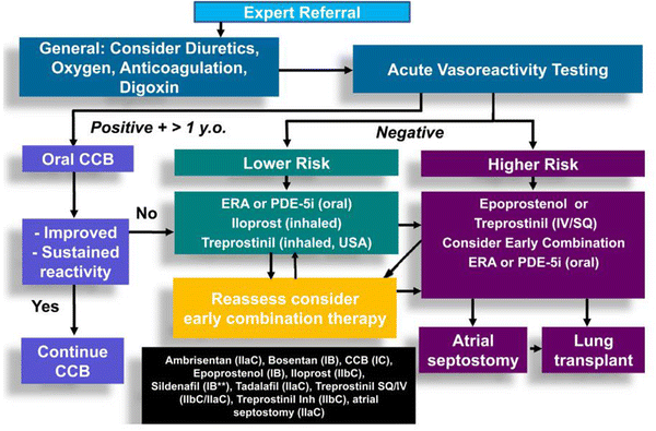 Idiopathic Pulmonary Arterial Hypertension In Children A - 