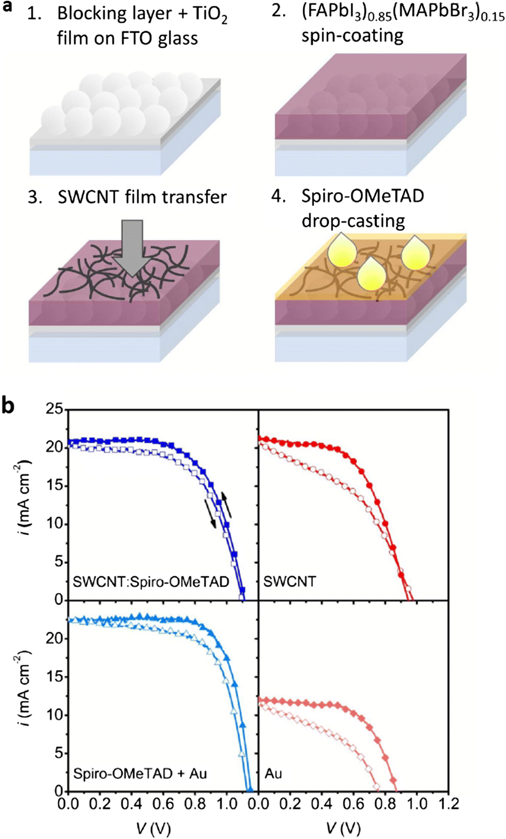 Functional Materials Device Architecture And Flexibility Of