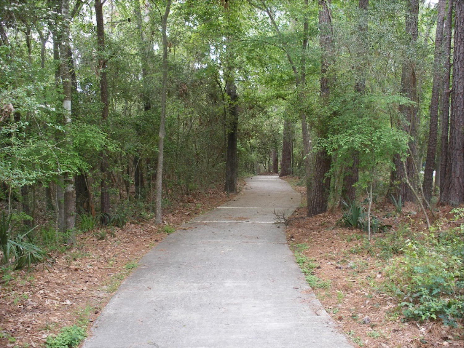 Blending Project Goals And Performance Goals In Ecological - 