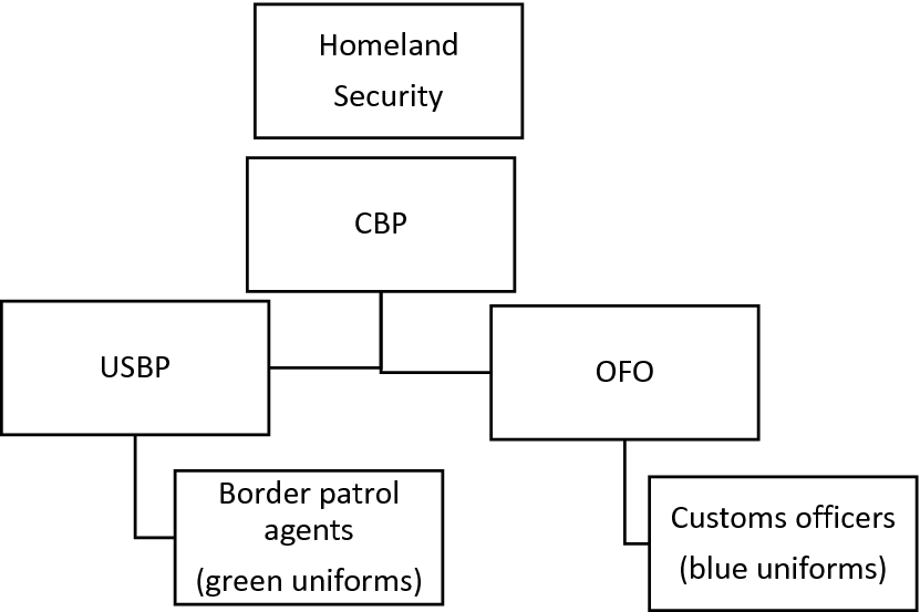 Cbp Ofo Org Chart