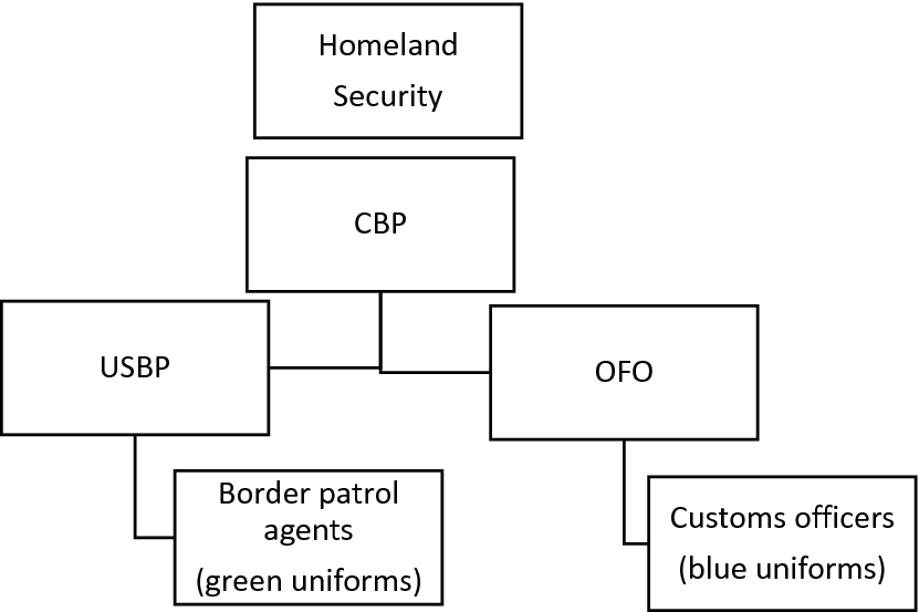 Dhs Cbp Organization Chart