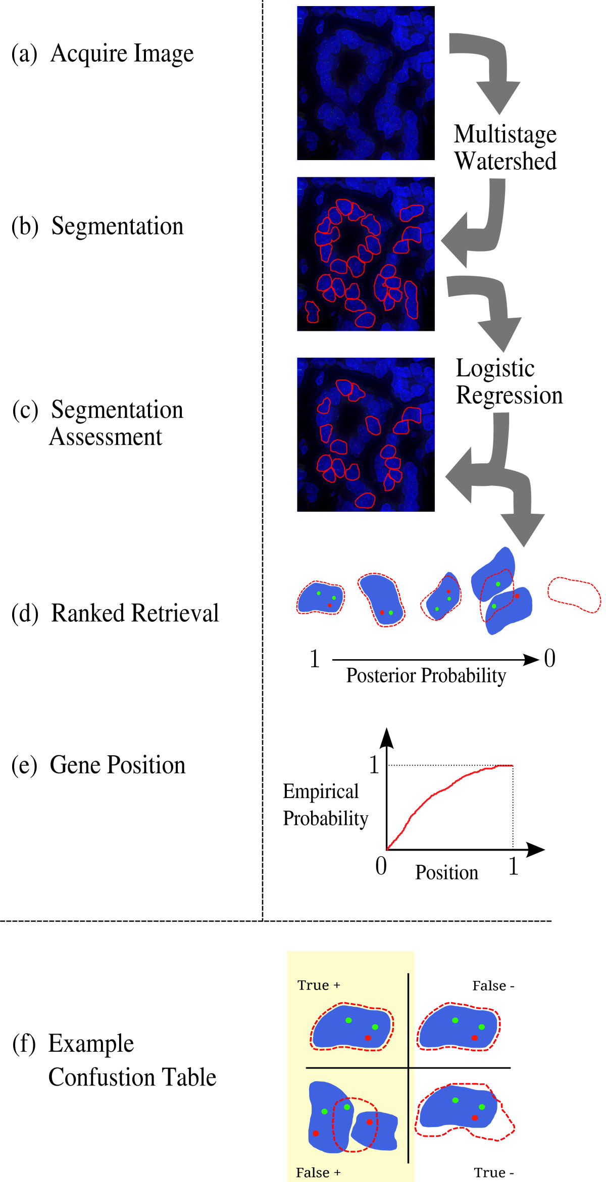 Ranked retrieval of segmented nuclei for objective assessment of ...