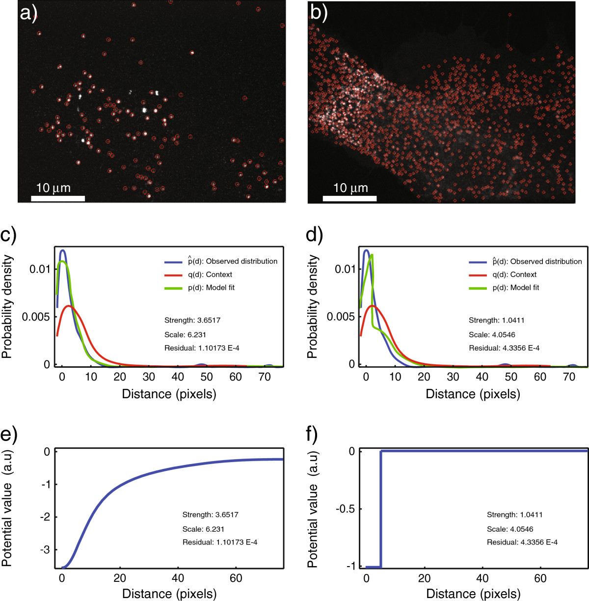 Mosaicia An Imagejfiji Plugin For Spatial Pattern And