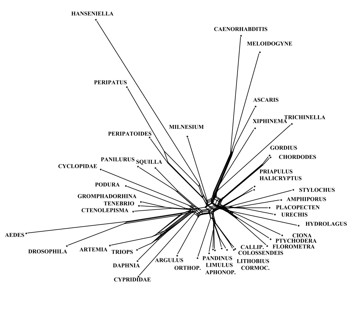 visualizing differences in phylogenetic information content of homology analogy homoplasy venn diagram