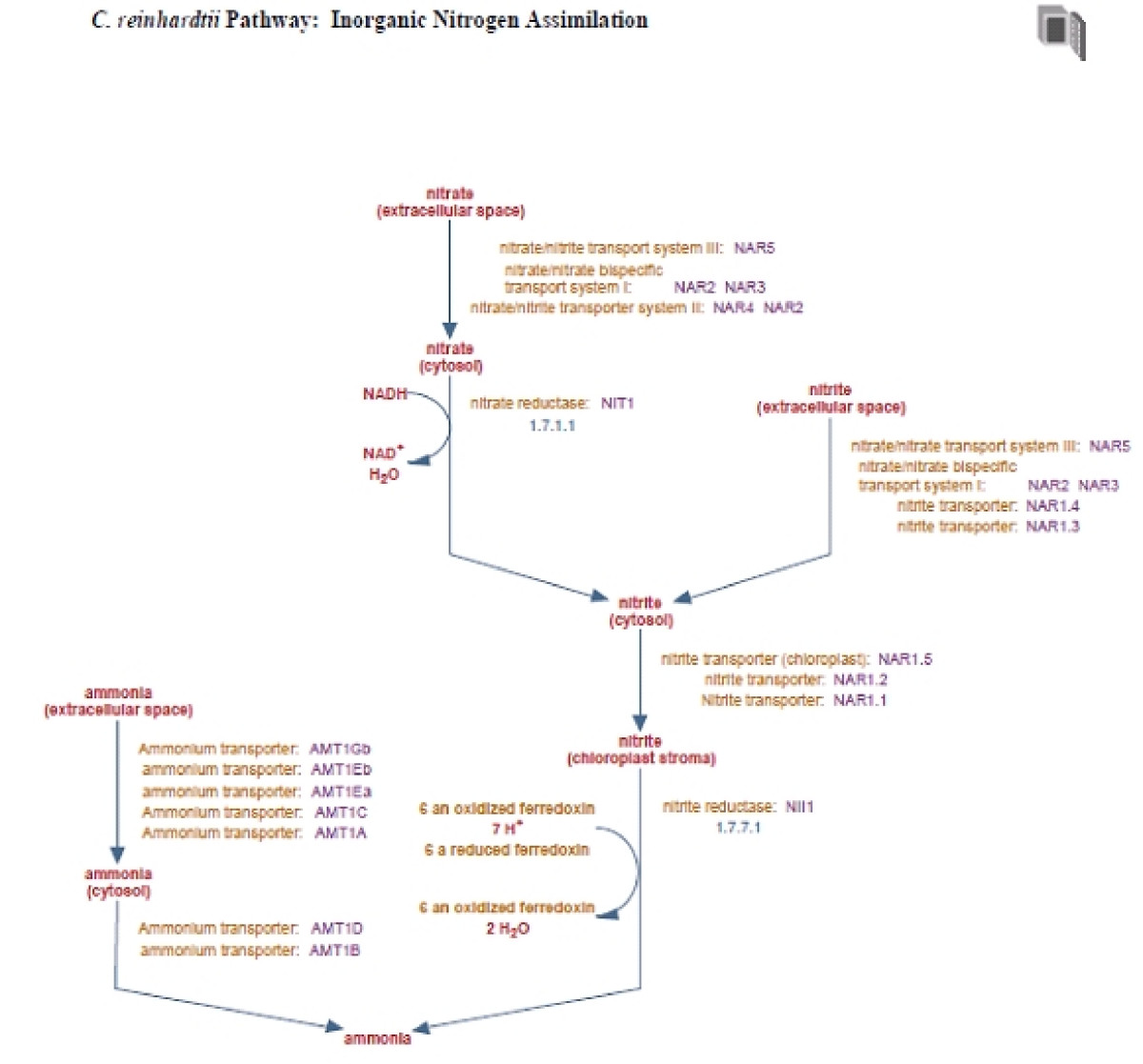 Pathways 101 Pathways 101
