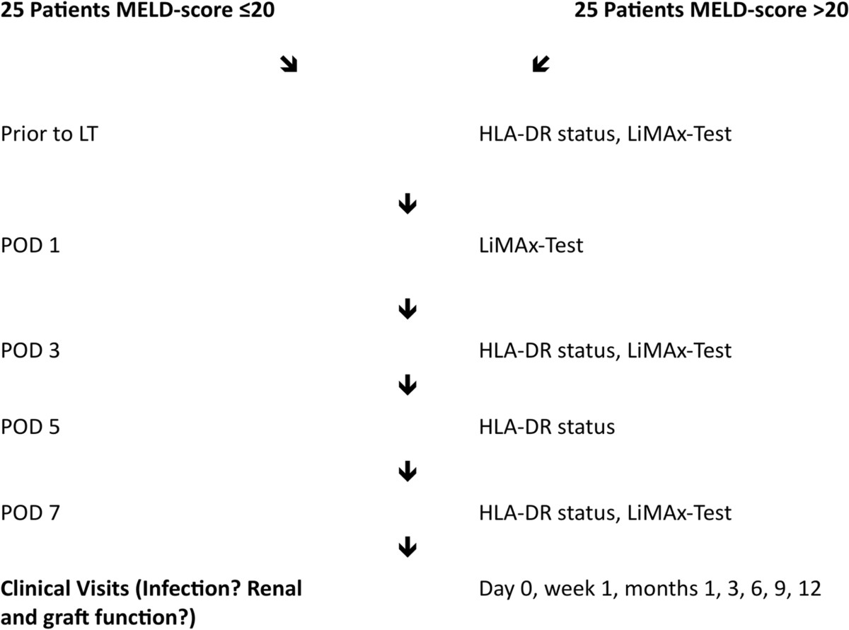 Meld Score Chart