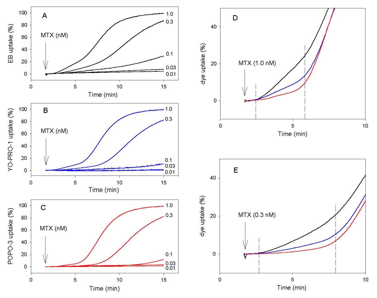 Maitotoxin Induced Membrane Blebbing And Cell Death In - 