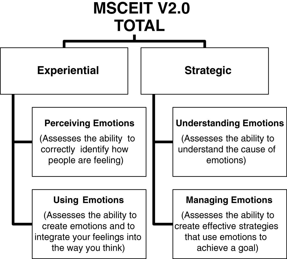 essay emotional labour Research proposal – example 1 project title emotional labour and gender in the hospitality industry research context the idea that there is an ‘emotional’ aspect to work seems to have only gained academic credence in recent years. essay emotional labour Research proposal – example 1 project title emotional labour and gender in the hospitality industry research context the idea that there is an ‘emotional’ aspect to work seems to have only gained academic credence in recent years.