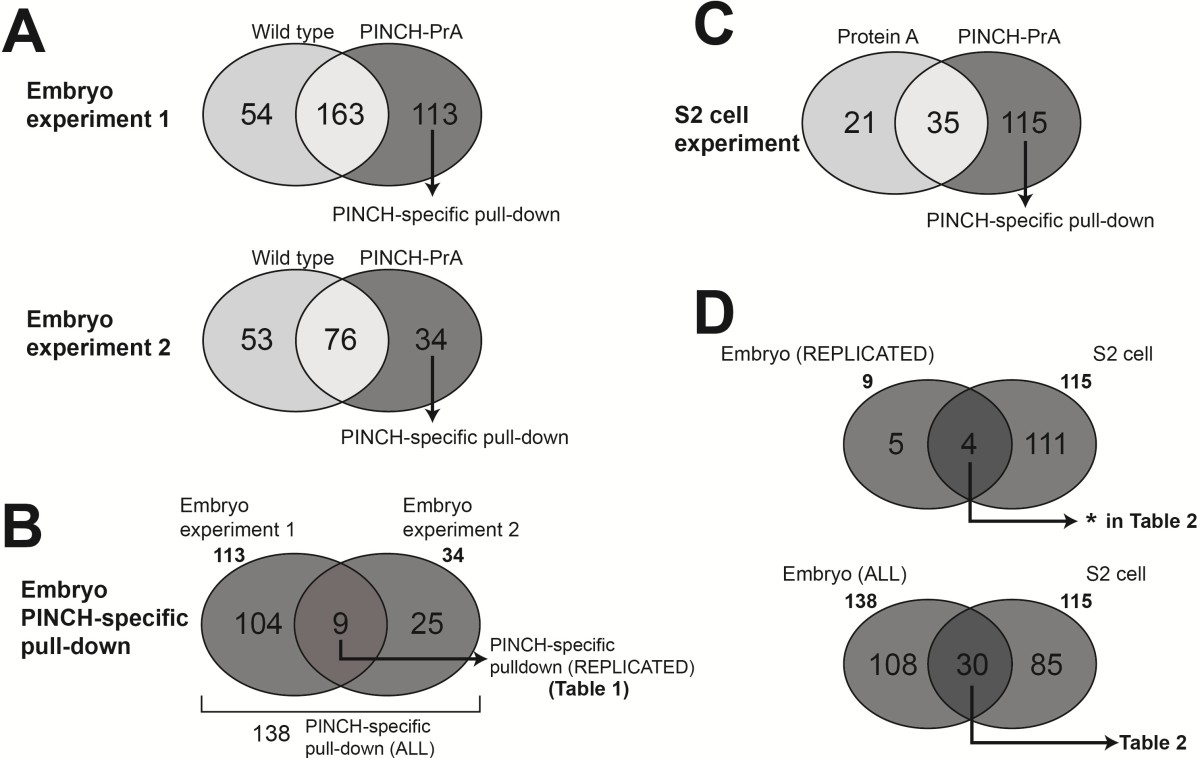 experiment 3 identifying a constituent of This might happen by researchers identifying the material constituents of experiments could discern, the genotype-as the genotype-phenotype distinction. experiment 3 identifying a constituent of This might happen by researchers identifying the material constituents of experiments could discern, the genotype-as the genotype-phenotype distinction.