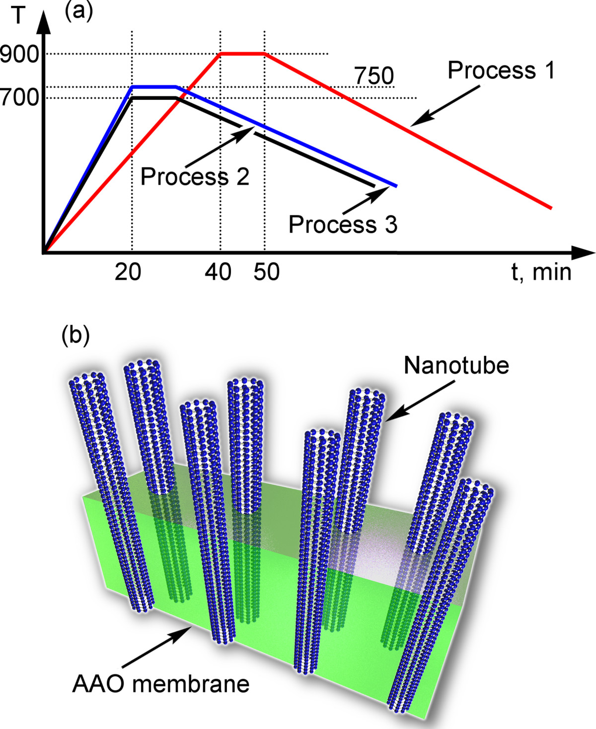 carbon nanotube processing essay Single-photon emitter has promise for quantum info-processing carbon by chemically modifying the nanotube single-photon emitter has promise. carbon nanotube processing essay Single-photon emitter has promise for quantum info-processing carbon by chemically modifying the nanotube single-photon emitter has promise.
