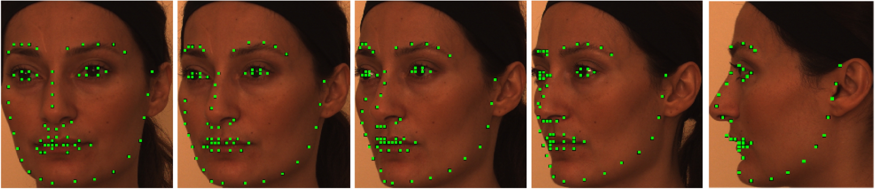 Xm2vts Face Database Psychology