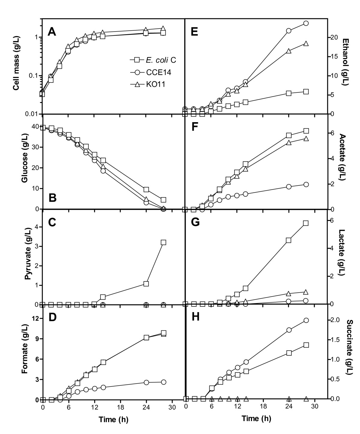 an analysis of the spread of escherichia coli Safety of raw meat and shellfish in vietnam: an analysis of escherichia coli isolations for antibiotic resistance and virulence genes. an analysis of the spread of escherichia coli Safety of raw meat and shellfish in vietnam: an analysis of escherichia coli isolations for antibiotic resistance and virulence genes.