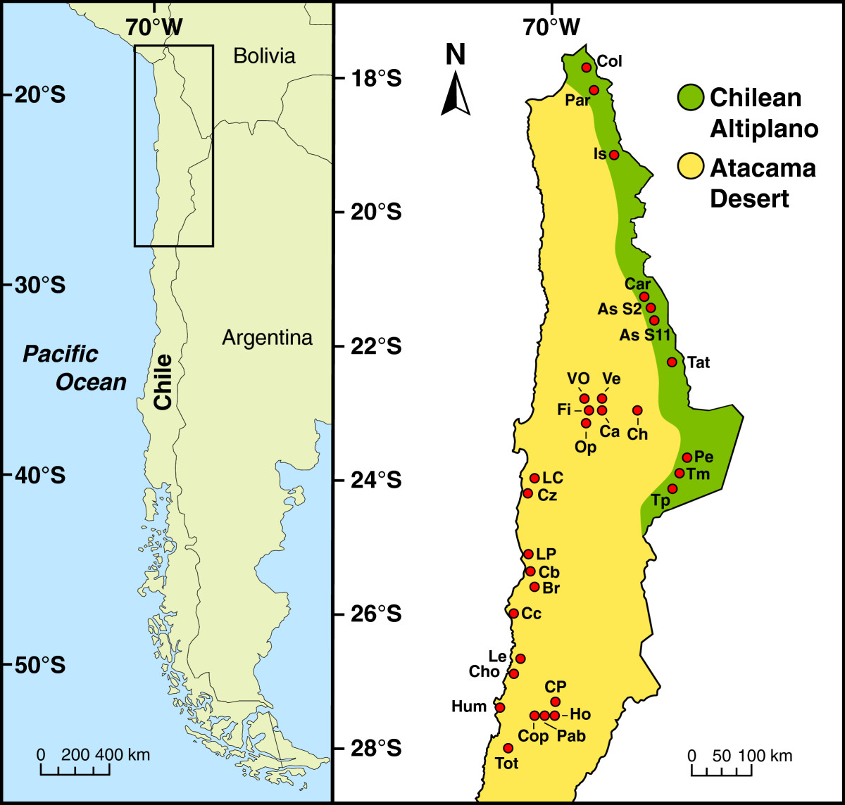 Hidden Diversity In Spring Snails From The Andean Altiplano - 