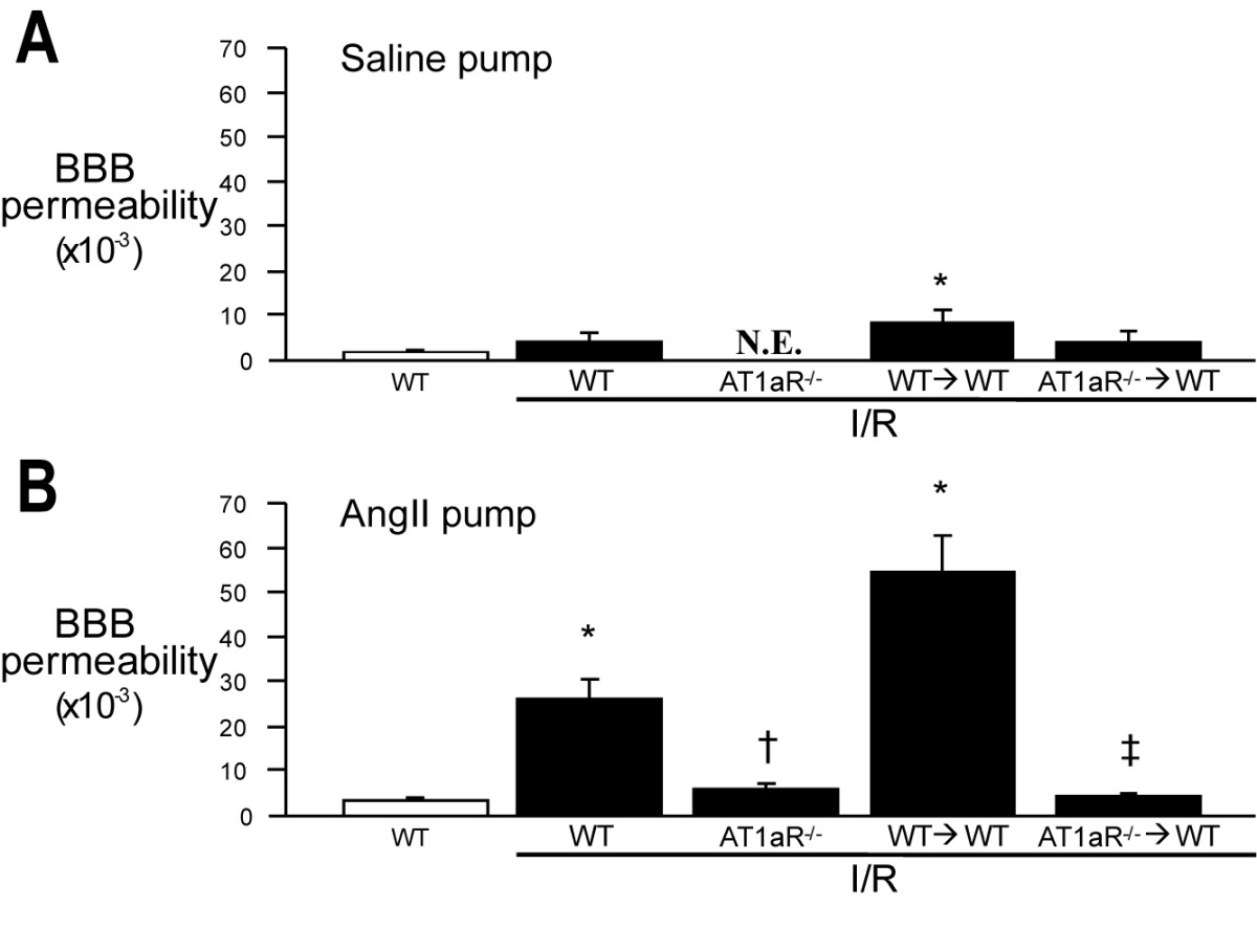 Role Of Blood Cell Associated Angiotensin Ii Type 1 Receptors In