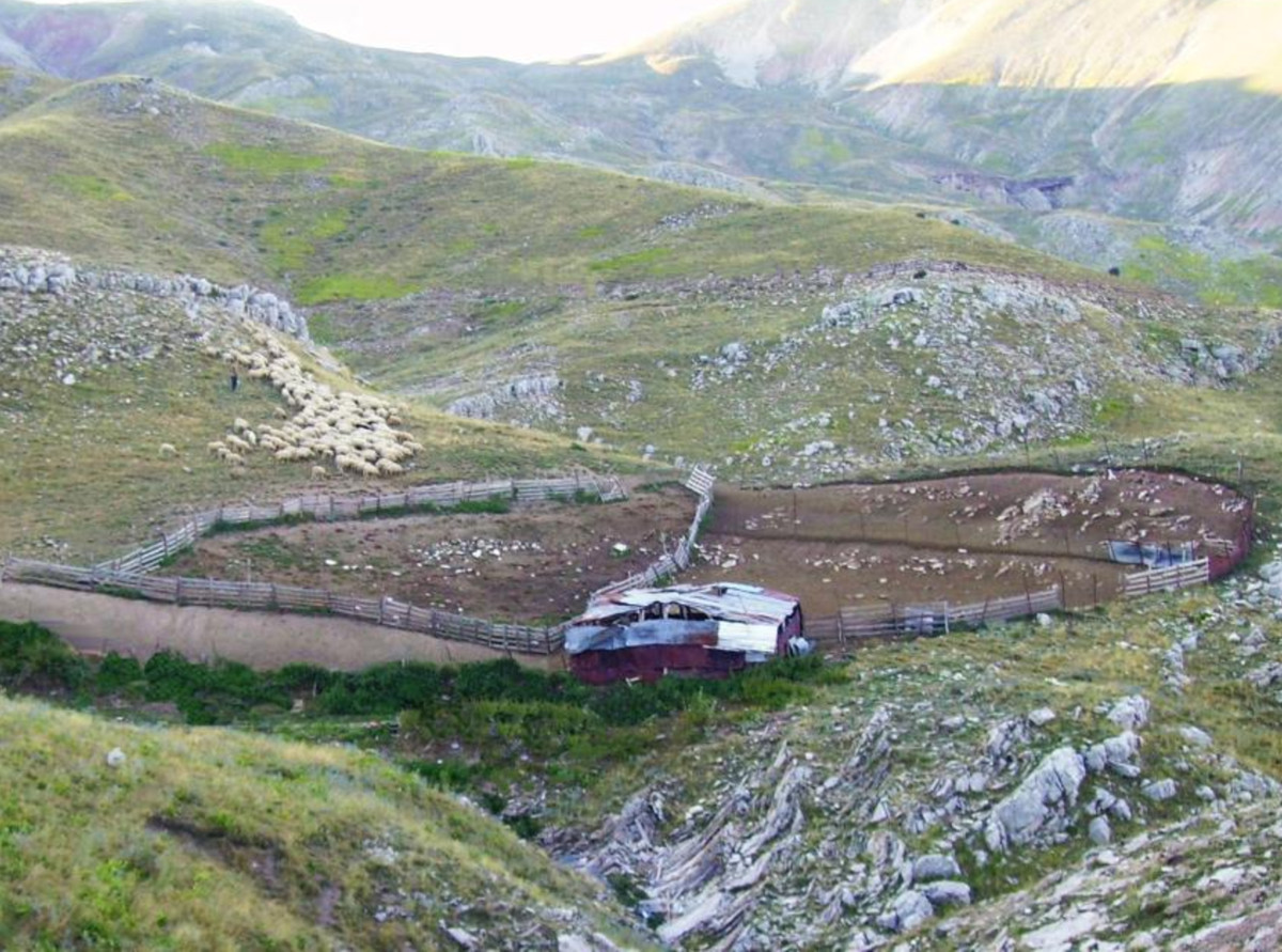Past Present And Future Of Pastoralism In Greece Springerlink