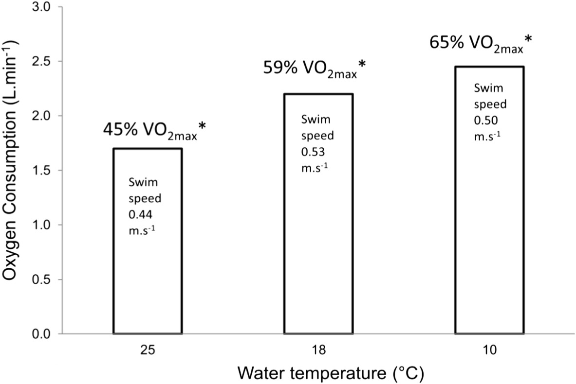 Moving In Extreme Environments Open Water Swimming In Cold And