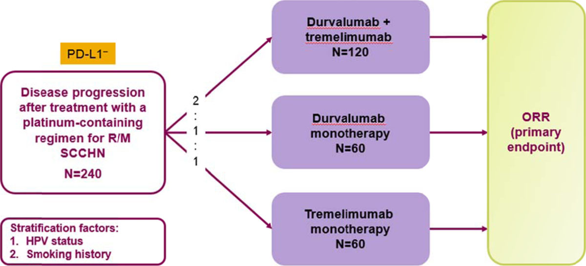 Phase Ii Randomized Open Label Study Of Durvalumab Medi Or Phase Ii Randomized Open Label Study Of Durvalumab Medi Or