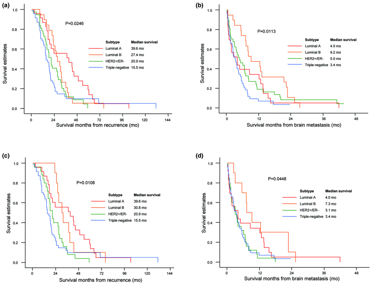 factors affecting survival in patients with brain metastasis More than 60% of all stage iv melanoma patients will develop brain metastases at will affect the patients factors for the development of brain. factors affecting survival in patients with brain metastasis More than 60% of all stage iv melanoma patients will develop brain metastases at will affect the patients factors for the development of brain.