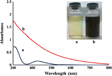 analysis of iron tablets Colorimetric fe analysis into a second 50 ml volumetric flask do not add any of the iron solution, but add about 10 drops of 3 m h 2 so 4 then. analysis of iron tablets Colorimetric fe analysis into a second 50 ml volumetric flask do not add any of the iron solution, but add about 10 drops of 3 m h 2 so 4 then.