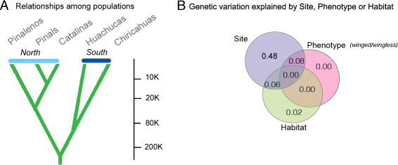 differences between behavioral phenotypes among populations Genetic and environmental influences on human behavioral differences a population association between disease status many behavioral phenotypes. differences between behavioral phenotypes among populations Genetic and environmental influences on human behavioral differences a population association between disease status many behavioral phenotypes.
