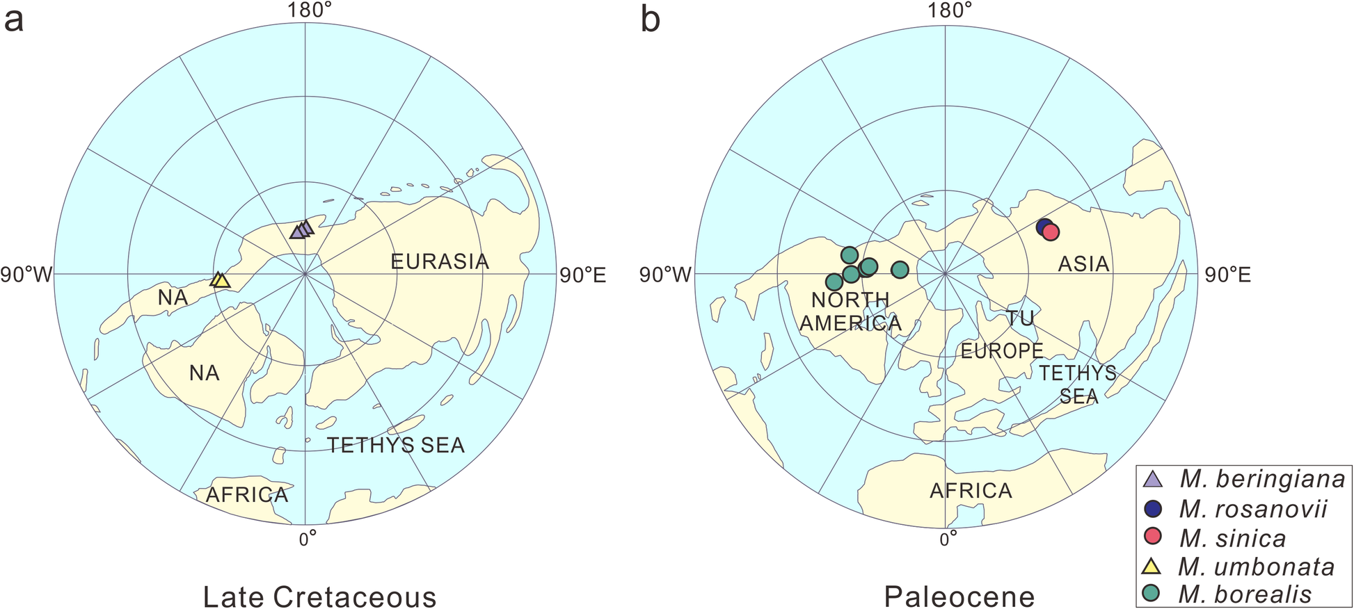 Fossil Evidence Reveals How Plants Responded To Cooling