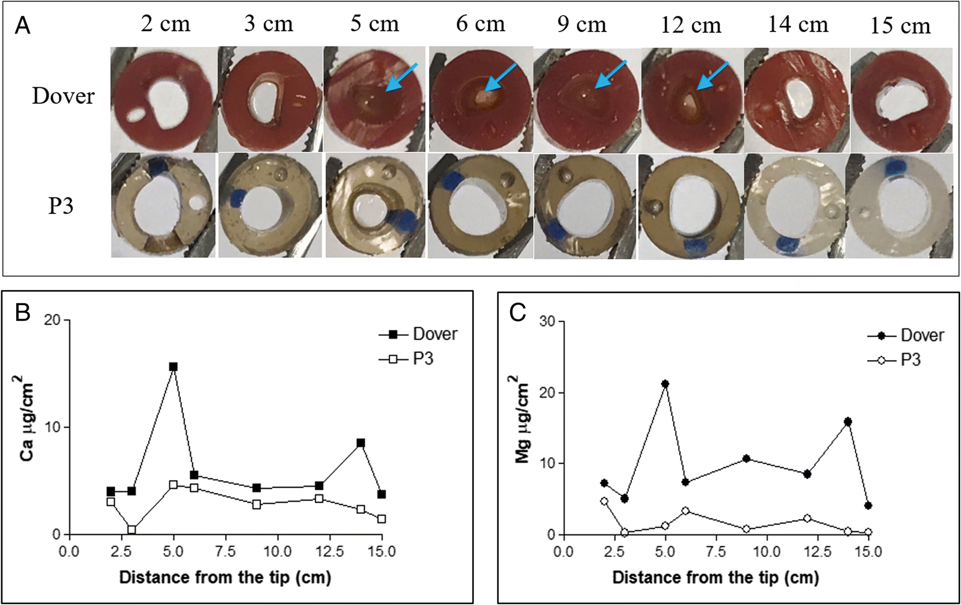 Restriction Of In Vivo Infection By Antifouling Coating On