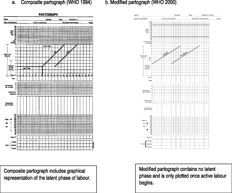 Partograph Chart Download