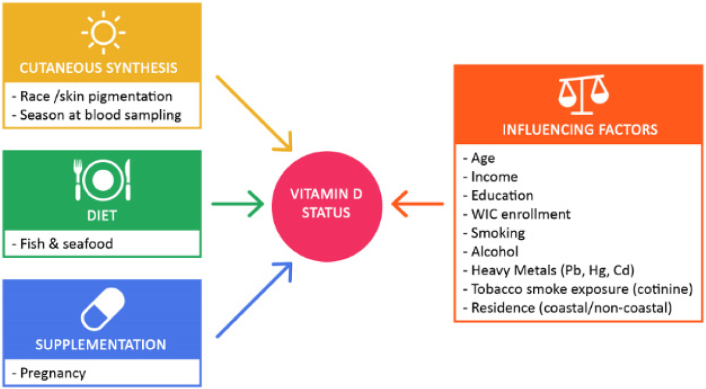Determinants Of Vitamin D Status Among Black And White Low